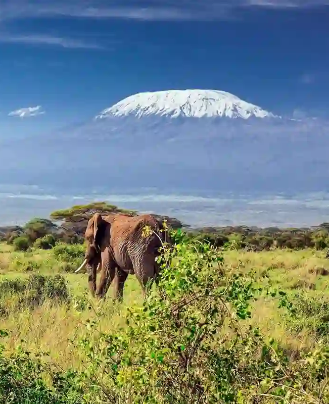 Kilimanjaro National Park