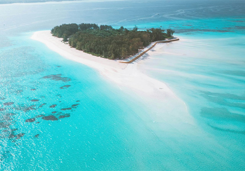 Mnemba Island Snorkeling