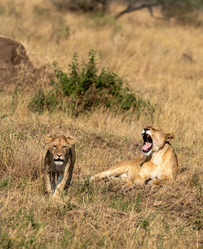 Serengeti National Park