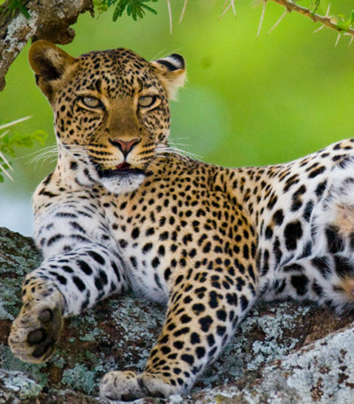 Serengeti National Park