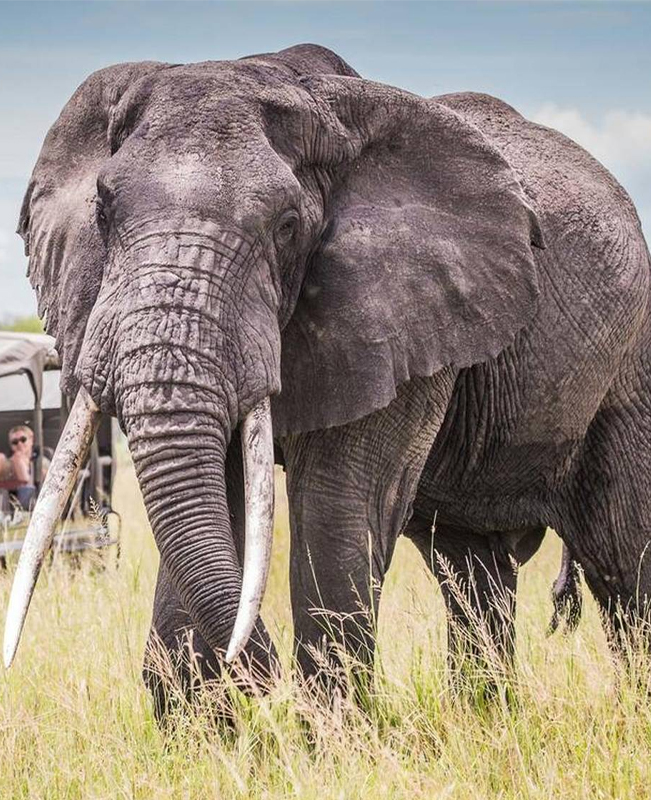 Tarangire National Park